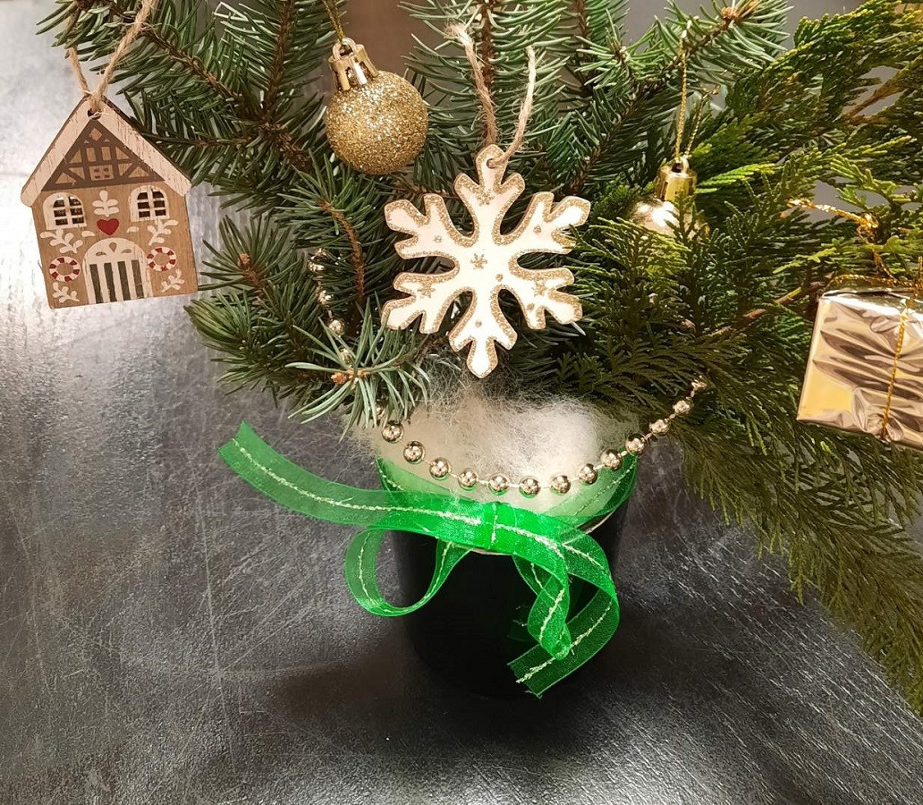 Resized_20241209_212948