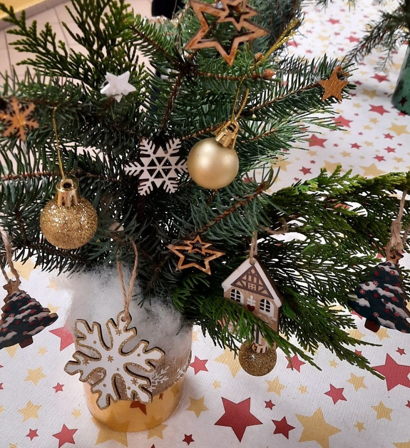 Resized_20241209_213055