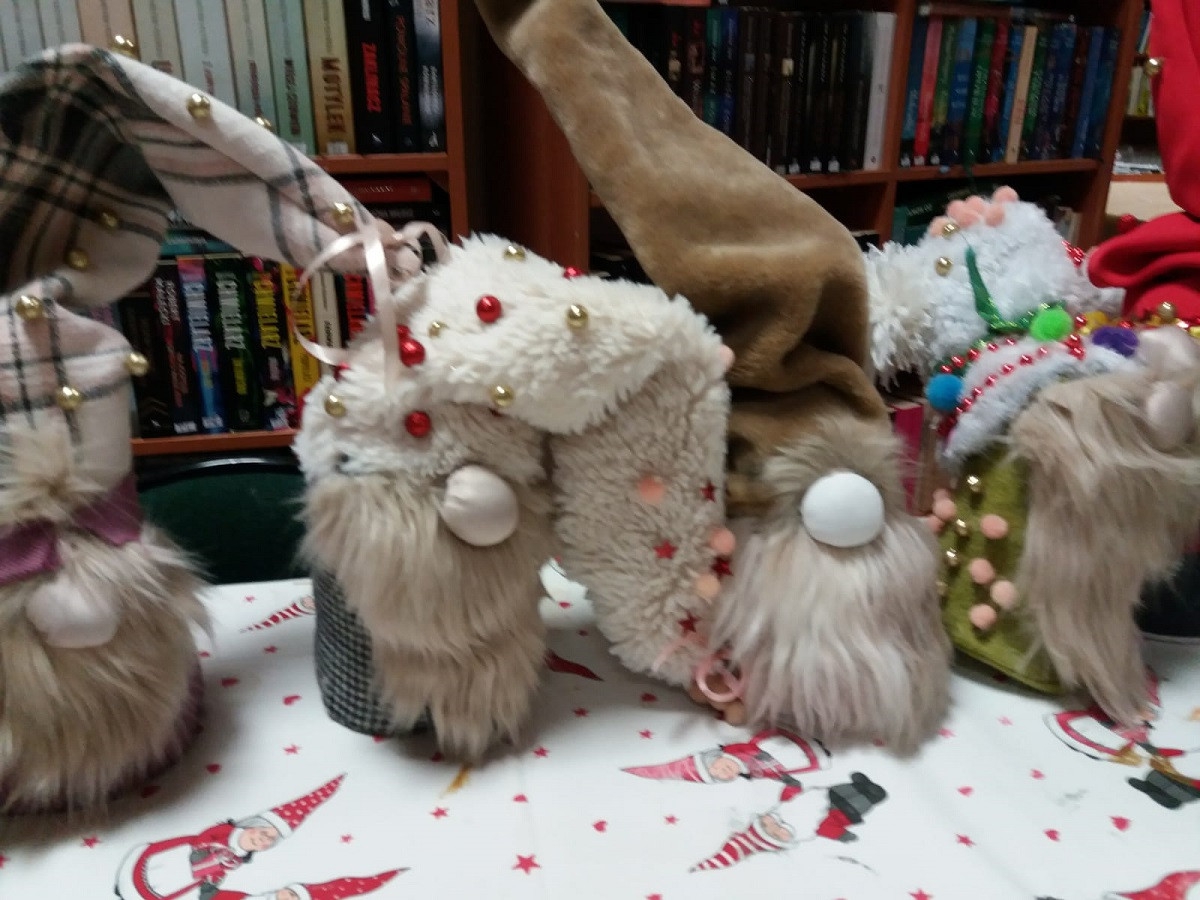 IMG-20241212-WA0005