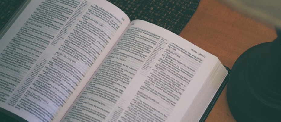 Kto czyta książki, żyje podwójnie